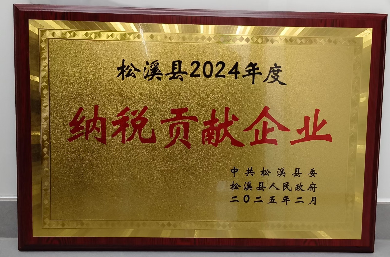 喜報！易順建工集團(tuán)榮獲“松溪縣2024年度納稅貢獻(xiàn)企業(yè)”稱號